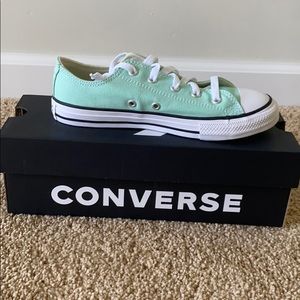 NEW Chuck Taylor All Star Seasonal Converse